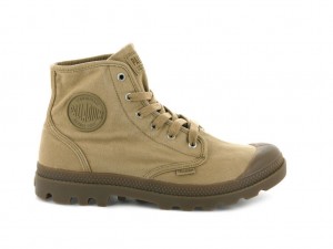 Palladium Pampa Hi Stövlar Herr Woodlin | FRVTPCG-38